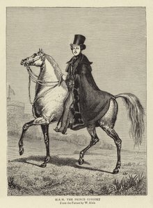 Seine Königliche Hoheit der Prinzgemahl von William Wolfe Alais