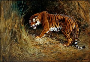Ein schleichender Tiger
