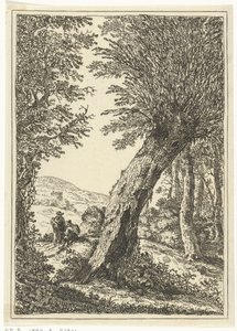 Weidenbaum von William Young Ottley