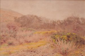 Ein kalter grauer Februartag von Wilmot R.W.S. Pilsbury