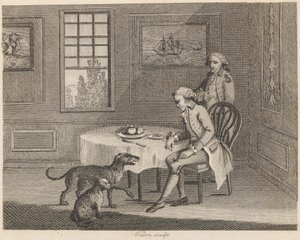 Der Mann, die Katze, der Hund und die Fliege