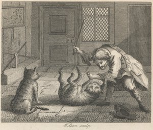 Der Rattenfänger und Katzen