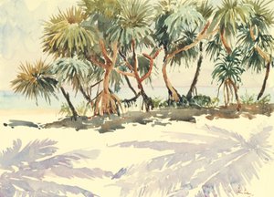 Stroh Bäume, Bentota von Wilson Clive