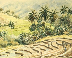 741 Dunhinda, Vorbereitung der Reisfelder von Wilson Clive