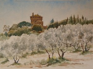 883 Pal Massaini, bei Pienza