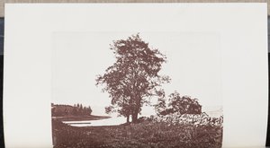 Heuschreckenbäume am Ufer des Bass River in Beverly von Wilson Flagg