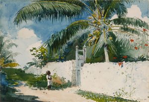 Ein Garten in Nassau von Winslow Homer
