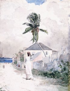 Entlang der Straße, die Bahamas