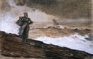 Auf hoher See von Winslow Homer