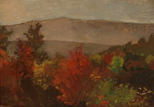 Herbstbaumkronen