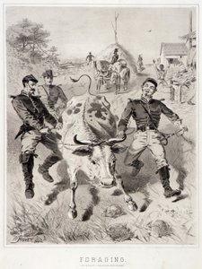 Kampagnenskizzen: Plündern