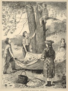 Kastaniensammeln, aus Every Saturday: Ein Illustriertes Journal der Wahllektüre, 29. Oktober 1870 von Winslow Homer