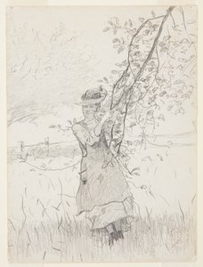 Mädchen mit einem Ast eines Apfelbaums von Winslow Homer