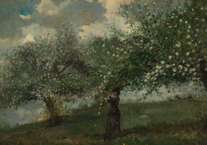 Mädchen, das Apfelblüten pflückt von Winslow Homer