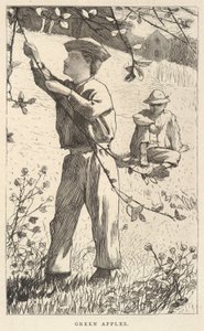 Grüne Äpfel, aus Our Young Folks, August 1868 von Winslow Homer