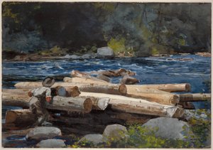 Hudson River von Winslow Homer