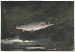 Springende Forelle von Winslow Homer
