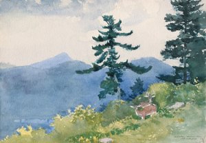 North Woods Club, Adirondacks (Das unterbrochene Tête-à-Tête)