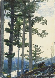 Alte Siedler von Winslow Homer