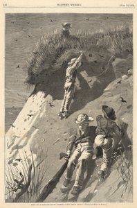 Überfall auf eine Sand-Schwalbenkolonie