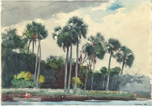 Rotes Hemd, Homosassa, Florida