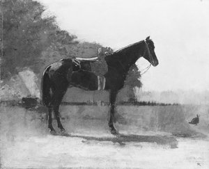 Reitpferd im Bauernhof