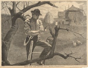 Frühjahrsarbeiten auf dem Bauernhof von Winslow Homer