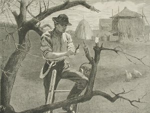 Frühjahrsarbeiten auf dem Bauernhof - Veredelung von Winslow Homer