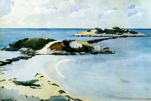 Der Favorit, 1899-1901 von Winslow Homer