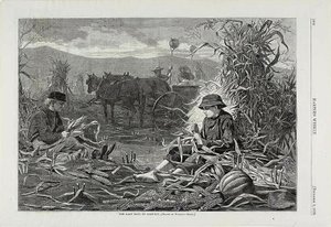 Die letzten Tage der Ernte von Winslow Homer