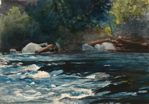 Die Stromschnellen, Hudson River, Adirondacks von Winslow Homer