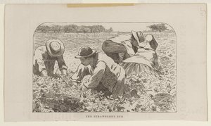 Das Erdbeerbeet von Winslow Homer
