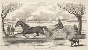Trab auf dem Mühlendamm, Boston von Winslow Homer