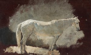 Weißes Pferd von Winslow Homer