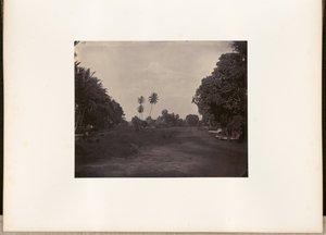Straßenarbeiten in Prapatan, Batavia von Woodbury and Page