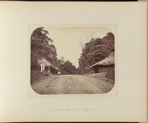 Gipfel des Poentjak bei Buitenzorg