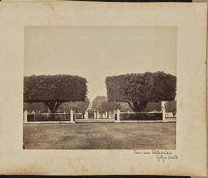 Bäume in der Nähe des Wasserpalastes, Djokjakarta von Woodbury and Page