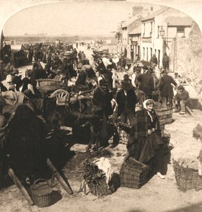 Verkauf des Lebensstabs des Iren, der Kartoffelmarkt, Galway, Irland, 1901 von Works and Sun Sculpture Studios
