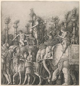 Der Triumph Caesars: Die Elefanten