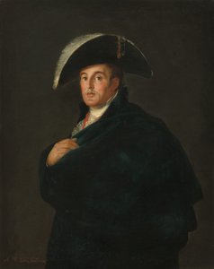 Der Herzog von Wellington von Workshop of Francisco Goya