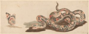 Schlange und Schmetterling von Workshop of Johann Teyler