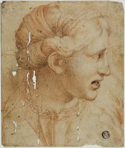 Weiblicher Kopf im Profil, nach rechts blickend von Workshop of Raphael