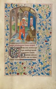 Heiliger Hieronymus von Workshop of Willem Vrelant