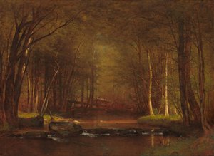 Forellenbach in den Catskills