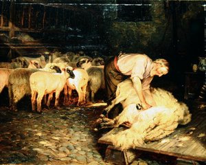 Der Scherer