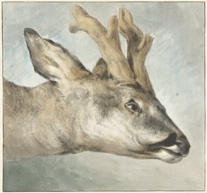 Kopf eines Rehbocks von Wybrand Hendriks