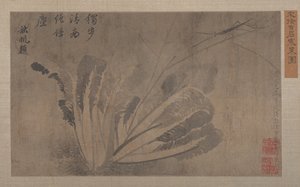 Kohl und Insekten
