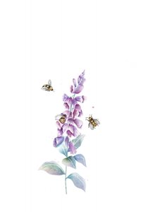 Aquarell Bienen und Blüten von Xuan Thai