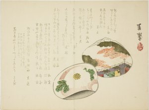 Muschelschalen