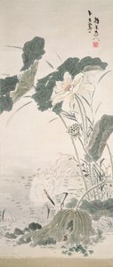 Reiher und Lotus, n.d.